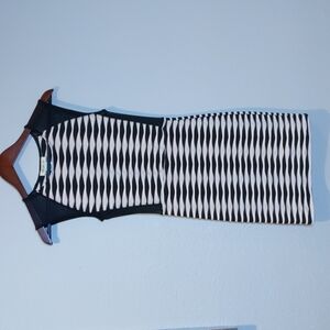 NWT Arden B Bodycon Mesh Dress